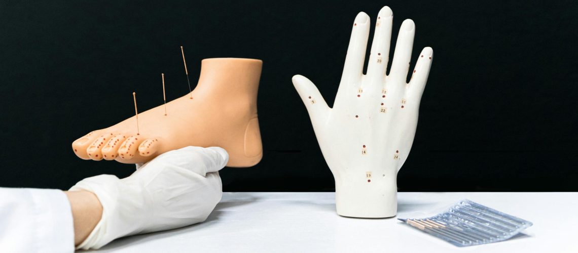 a person holding a foot acupuncture model